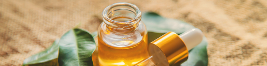 Moringa Oil Benefits for Skin: Why Itās Perfect For Your Sensitive Skin Routine