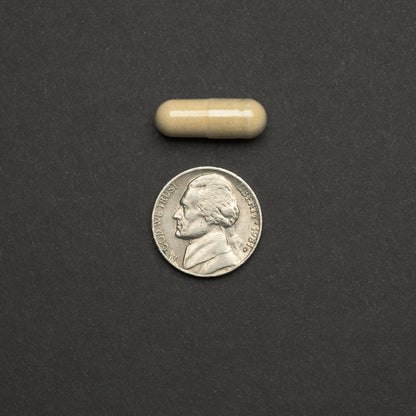 Beige capsule next to a nickel on a dark gray background