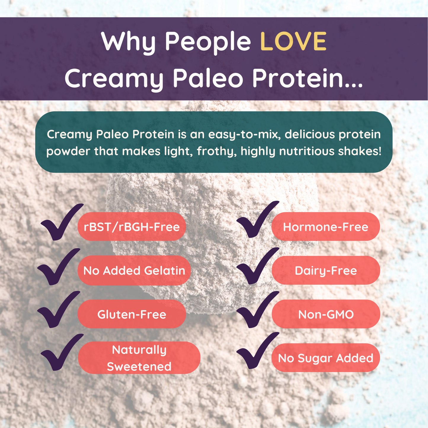 Creamy Paleo Protein (Vanilla)